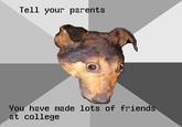 Depression Dog