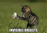 Invisible X