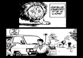 Jesus Christ It's a Lion Get In The Car!