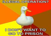 Technologically Impaired Duck