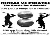 Pirates vs. Ninjas