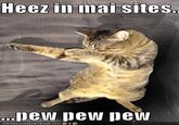 Pew Pew