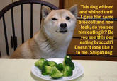 Broccoli Dog