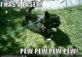 Pew Pew