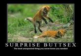Surprise Buttsecks