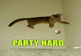 Party Hard