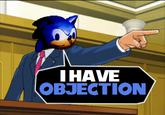 DSS : Down Syndrome Sonic