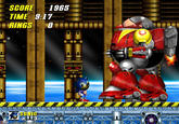DSS : Down Syndrome Sonic