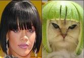 Limecat