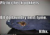 LOLcats