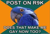 Paranoid Parrot