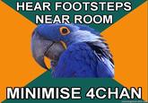 Paranoid Parrot