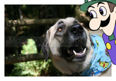 Weegee