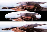 Jack Sparrow Reaction