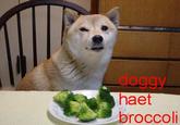 Broccoli Dog