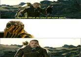 What do your elf eyes see?