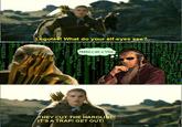 What do your elf eyes see?