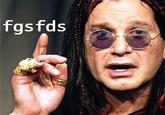 fgsfds
