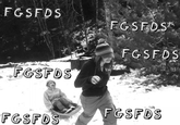 fgsfds
