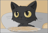 Spaghetti Cat