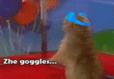 The Goggles Do Nothing!