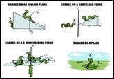 Snakes on a Plane