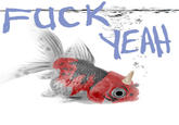 Fuck Yeah Seaking
