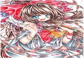 Touhou Project (東方Project)
