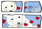 Apples Bear
