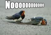 Darth Vader's Noooooooooooo!