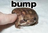 Bump