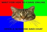 Senseable Cat