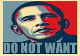 Obama "Hope" Posters