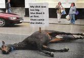 Dead horse