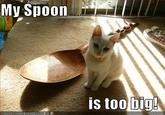 My Spoon Is Too Big