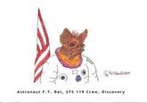 SpaceBat