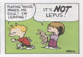 It's Not Lupus