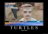 I Like Turtles
