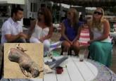 Montauk Monster