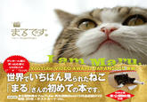 Maru the Cat