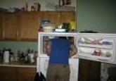 241543903 / Heads In Freezers