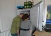 241543903 / Heads In Freezers