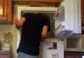 241543903 / Heads In Freezers