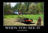 Crasher Squirrel
