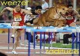 Weezer Raditude Dog