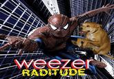 Weezer Raditude Dog