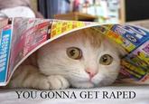 You Gonna Get Raped