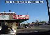 This is Relevant to My Interest