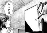 Door Bursting Open / Door Slam / Gashunk