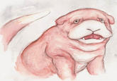 Slowpoke